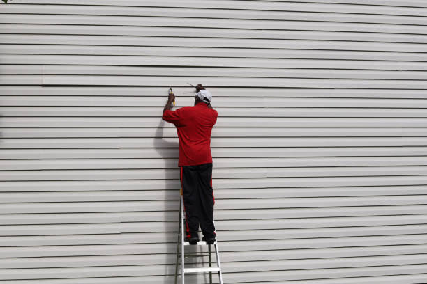 Best Custom Siding Design  in Leitchfield, KY